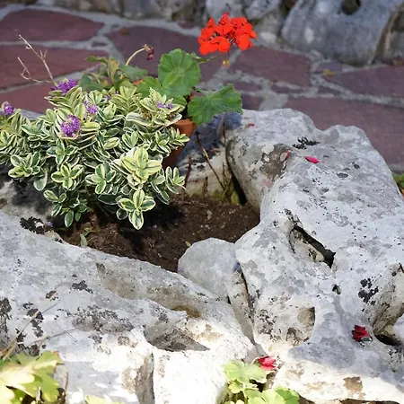 Хотел комплекс правешки ханове