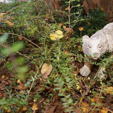 Hotel Complex Praveshki Hanove