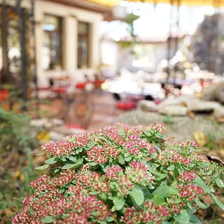 Хотел комплекс правешки ханове 3*