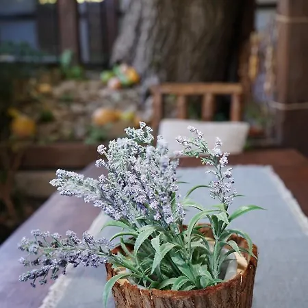 комплекс правешки ханове Хотел 3*