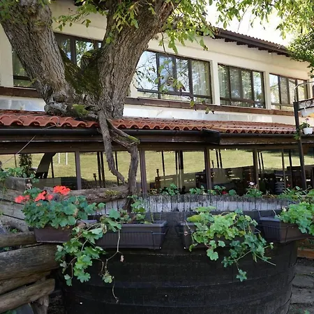 Hotell Complex Praveshki Hanove