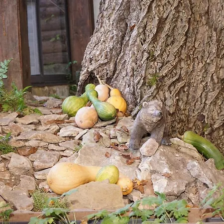 Complex Praveshki Hanove Hotel 3*