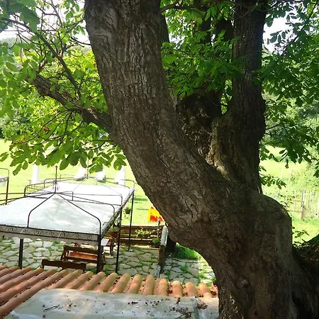 Complex Praveshki Hanove Hotell Pravets
