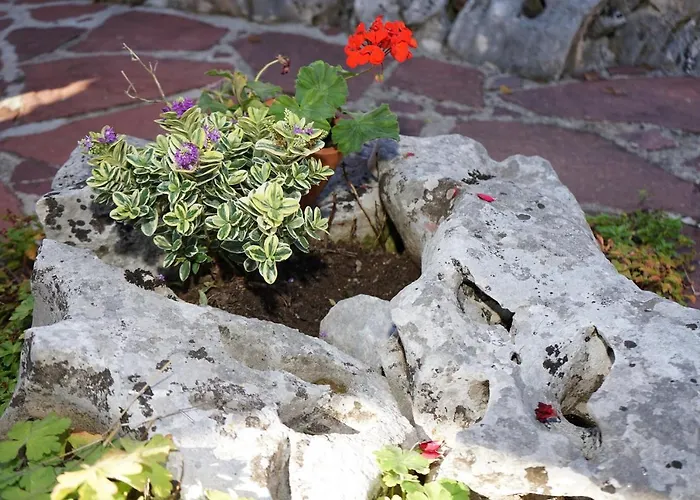 Hotel Complex Praveshki Hanove