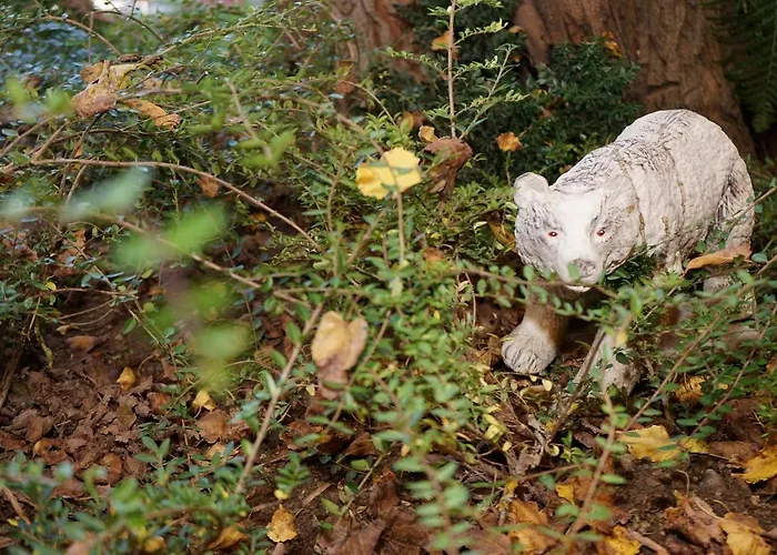 Hotel Complex Praveshki Hanove