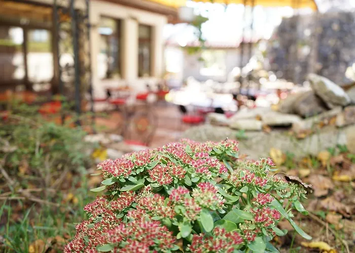 Hotel Complex Praveshki Hanove 3*