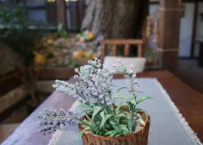 Complex Praveshki Hanove Hotel 3*